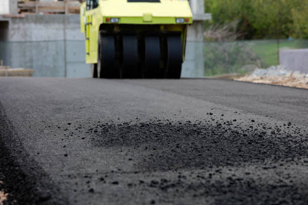 Best Local Driveway Pavers  in Davenport, FL