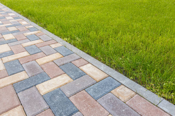 Best Driveway Paving Near Me  in Davenport, FL